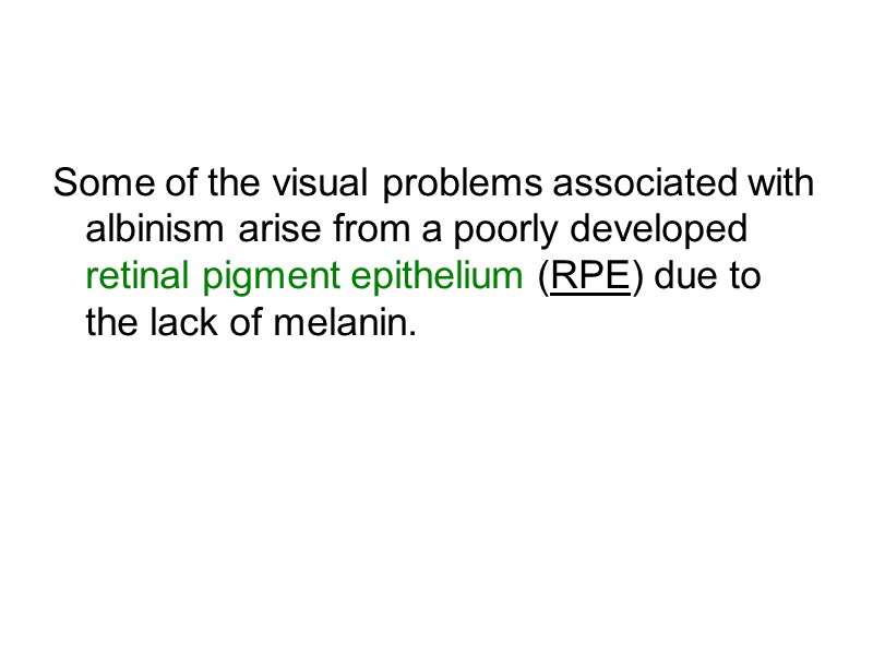 Some of the visual problems associated with albinism arise from a poorly developed retinal